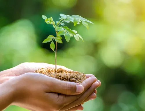 Αναπτυξιακός Νόμος 4887/2022 – Μεταποίηση- Εφοδιαστική αλυσίδα